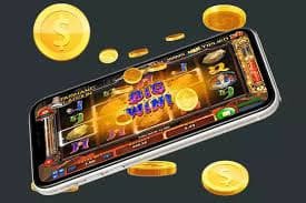 333bet vip